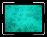 Tortola 184 * 2048 x 1536 * (1.15MB)